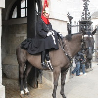 London-2012-Soldier-on-horse