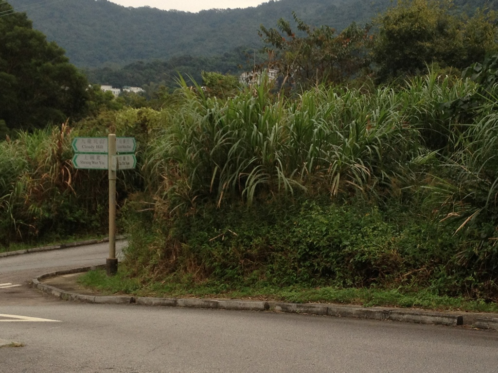 Near to Yuen Tun Ha